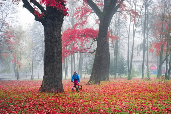 秋と冬の間バイクに乗る — ストック写真