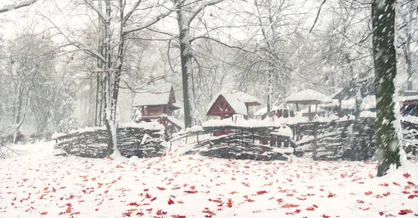 Parco dopo una tempesta di neve — Foto Stock