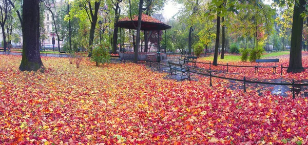 Krakow bland foggy park — Stock Photo, Image