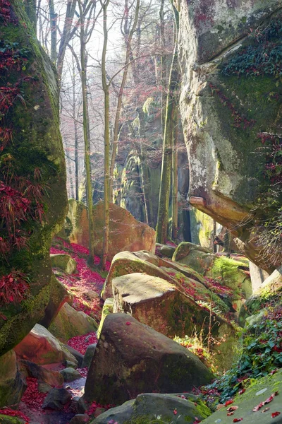 Rochers à l'aube Bubnyshche — Photo