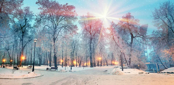 Rayos estrella de nieve — Foto de Stock