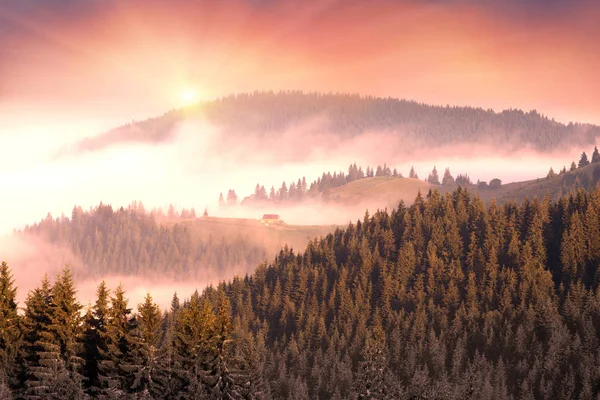 Malerisches Haus im Nebel — Stockfoto