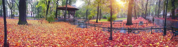 Krakow bland foggy park — Stock Photo, Image