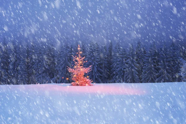Árvore mágica no Natal — Fotografia de Stock