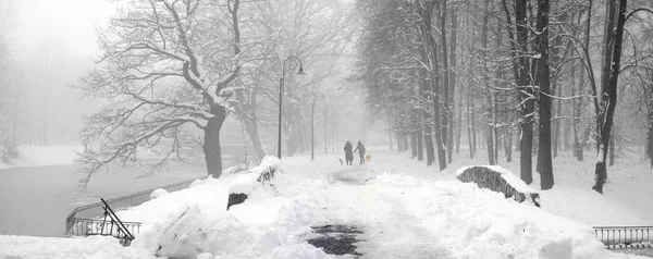 Caminhando o cão no nevoeiro — Fotografia de Stock