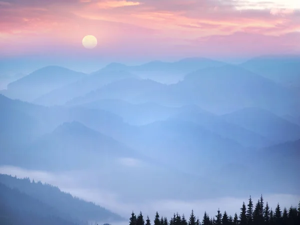 Pintoresco bosque en la niebla — Foto de Stock