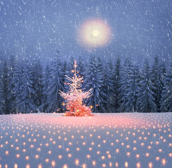 Árbol mágico en Navidad —  Fotos de Stock