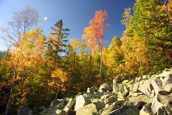 Outono nas montanhas rochosas — Fotografia de Stock