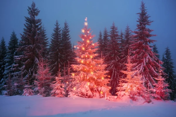 Noite Nos Cárpatos Ucranianos Abeto Dourado Ano Novo Com Uma — Fotografia de Stock