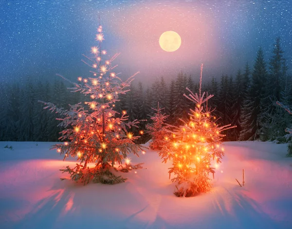 Magic tree on Christmas — Stock Photo, Image