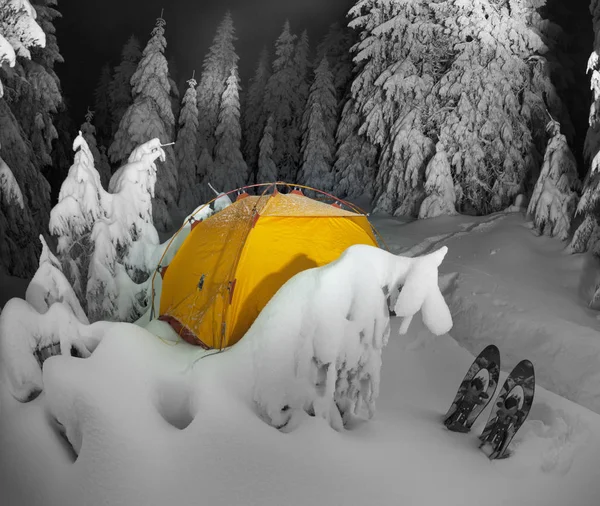 Bosque de invierno iluminado en los Cárpatos — Foto de Stock