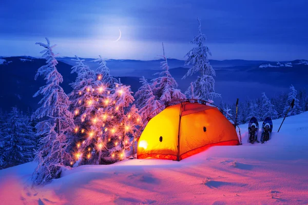 Beleuchteter Winterwald in den Karpaten — Stockfoto