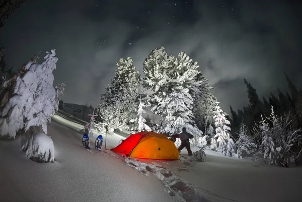 Beleuchteter Winterwald in den Karpaten — Stockfoto