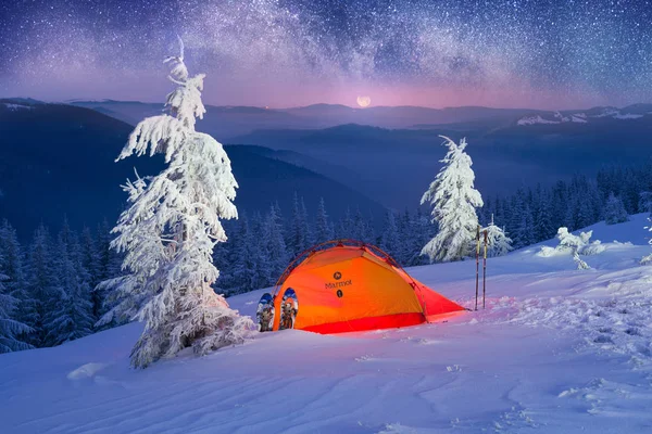 Illuminated winter forest in the Carpathians — Stock Photo, Image