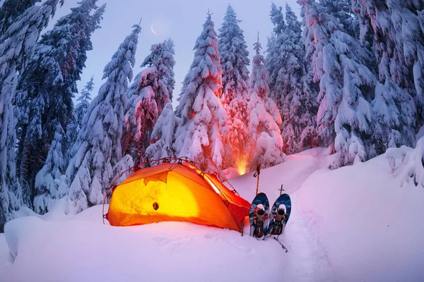 Karpatlar ormanda ışıklı kış — Stok fotoğraf