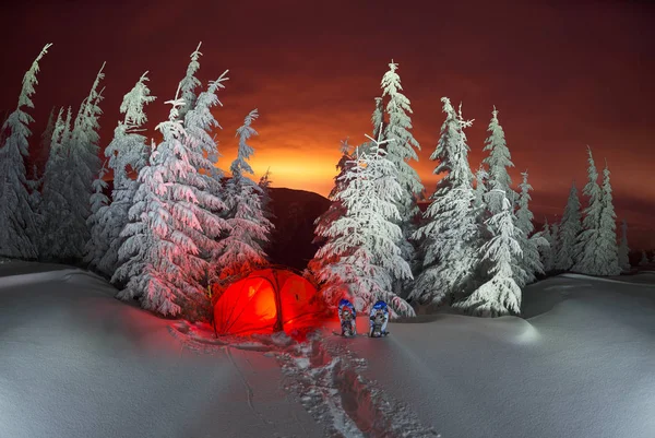 Bosque de invierno iluminado en los Cárpatos — Foto de Stock