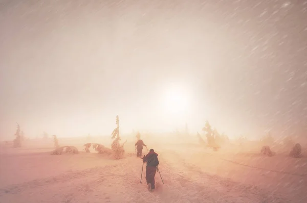 Wejście do Howerla zimą — Zdjęcie stockowe