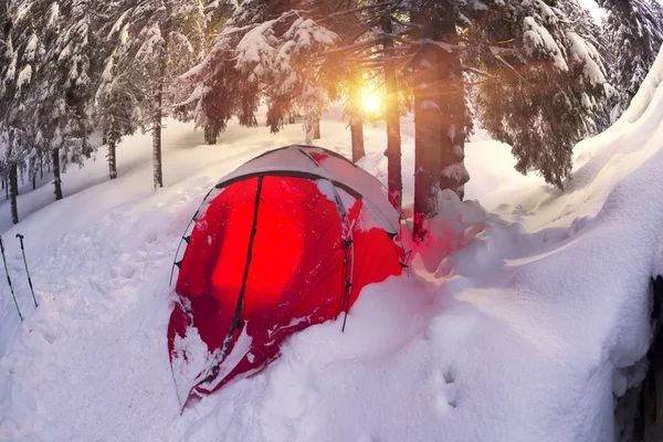 Refugio y tienda en invierno a la montaña Pop Ivan — Foto de Stock