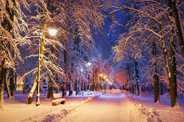 Parque da noite após a queda de neve — Fotografia de Stock