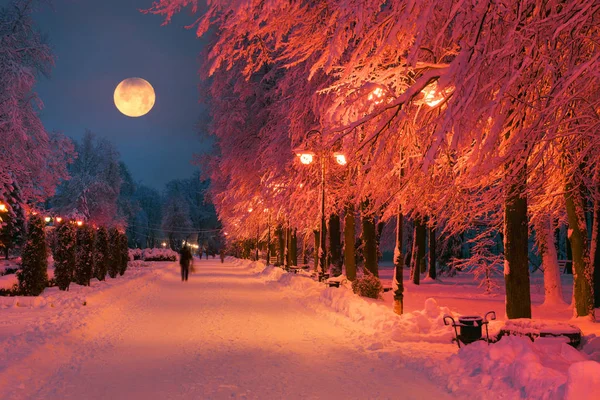 Parque da noite após a queda de neve — Fotografia de Stock