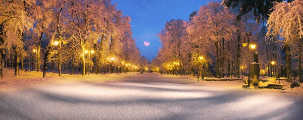 Вечірній парк після снігопаду — стокове фото