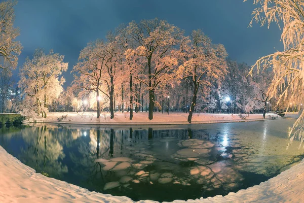 雪が降った後の夜の公園 — ストック写真