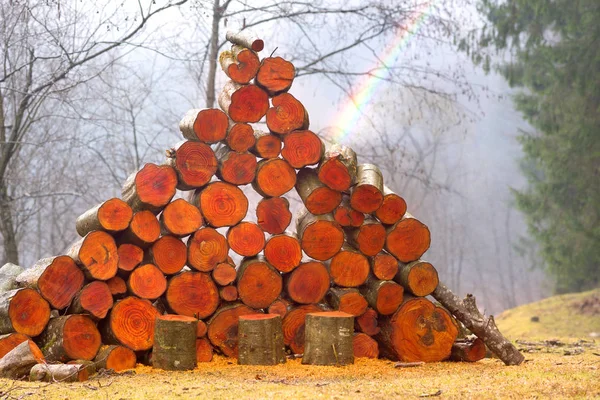 Tűzifa festői összetétele — Stock Fotó