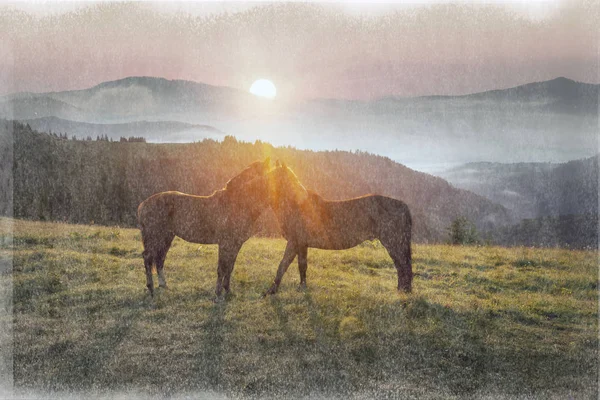 Παλιά ταινία φωτογραφίες με άλογα — Φωτογραφία Αρχείου