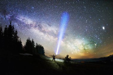 Milky Way over the Fir-trees clipart