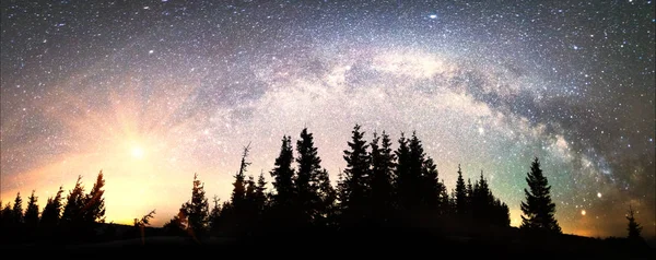 Milky Way over de dennen — Stockfoto