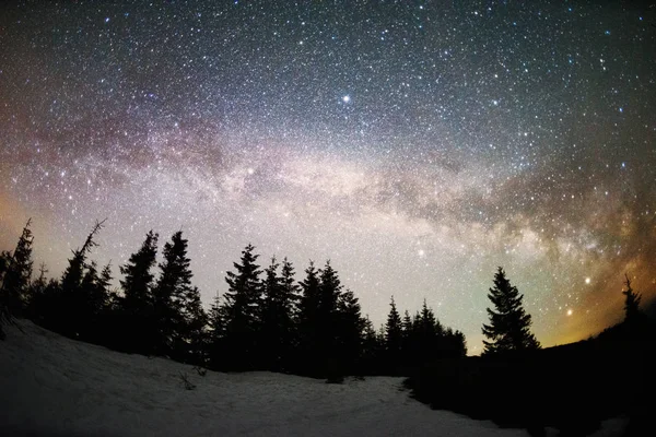 Mléčná dráha nad vánoční stromky — Stock fotografie