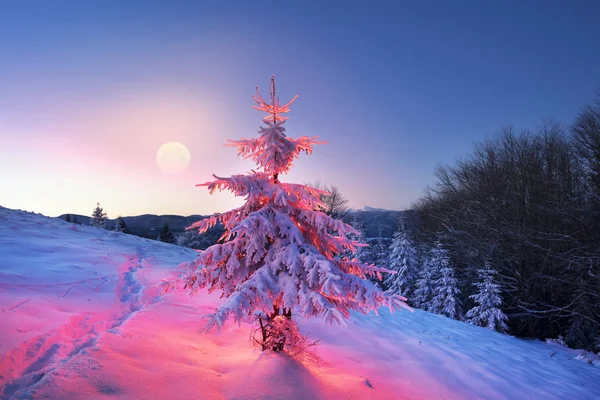 Illuminazione Vacanze in montagna — Foto Stock