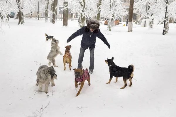 Pasear con un perro —  Fotos de Stock