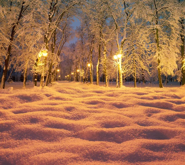 Zimowy park w nocy z latarniami. — Zdjęcie stockowe