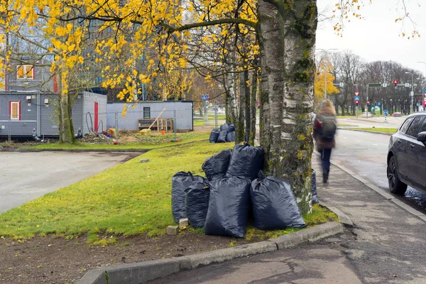 Liście w workach na śmieci, stary Tallinie — Zdjęcie stockowe