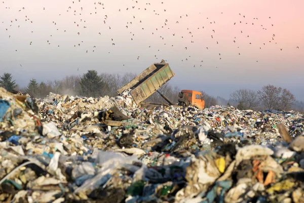 Camiones de basura en la basura — Foto de Stock