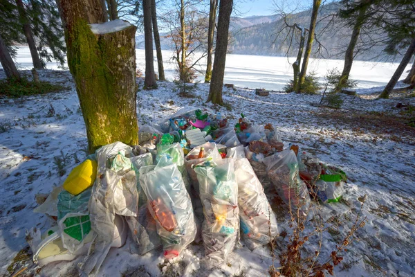 Wolontariusze zbierają śmieci w workach.. — Zdjęcie stockowe