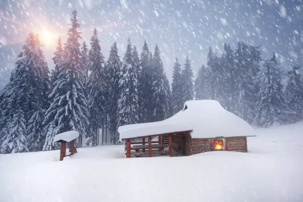 Huisredders in het Alpengebergte — Stockfoto