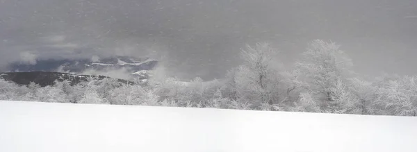 Svår Frost Och Snöstorm Gjorde Ett Fantastiskt Islandskap Lövträd Mot — Stockfoto