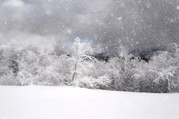 Las Heladas Severas Las Tormentas Nieve Hicieron Que Fabuloso Paisaje —  Fotos de Stock
