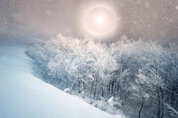 Şiddetli Don Kar Fırtınası Muhteşem Bir Buz Manzarası Oluşturdu Dağlara — Stok fotoğraf