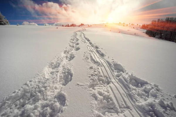 沿着高山顶上的雪鞋的游客的踪迹 没有它们 人们就会在厚厚的积雪中弯腰驼背 载重雪橇运输 — 图库照片