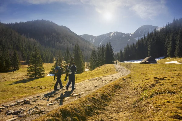 Vale Khokholovska Chocholowska Tatras Perto Zakopane Famoso Por Suas Flores — Fotografia de Stock