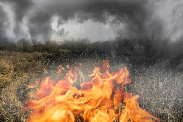 Brandstiftung Trockenem Gras Führt Massenbränden Tod Der Flamme Von Pflanzen — Stockfoto