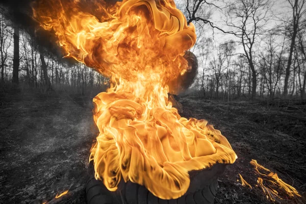 대규모 화재가 일어나고 동물이 새들이 파괴되고 이불타게 기체인 공기중으로 방출된다 — 스톡 사진