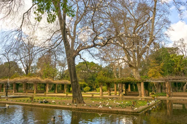 Poblíž Španělského Náměstí Nachází Park Maria Louise Kde Spousta Krásných — Stock fotografie