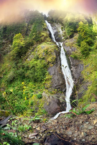 Una Alta Cascada Vuela Lago Valle Poschiavo Cantón Los Grisones —  Fotos de Stock