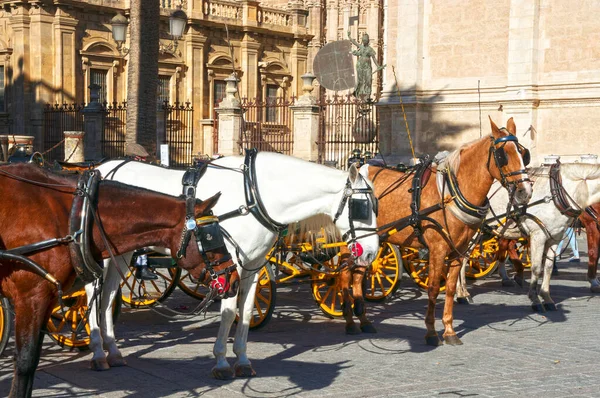 Spain Seville January 2019 Horse Carriages Old Classic Style Background — Stock Photo, Image