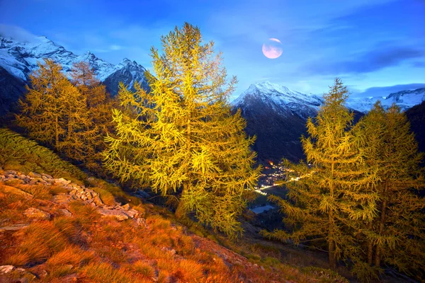 Éjszaka Alpokban Közel Város Zermatt Svájcban Hegyi Legelők Tehenek Juhok — Stock Fotó
