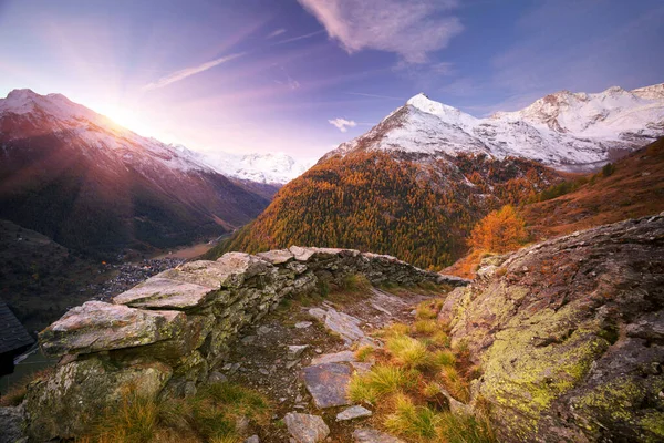 Övernattning Alperna Nära Staden Zermatt Schweiz Betesmarker För Kor Och — Stockfoto